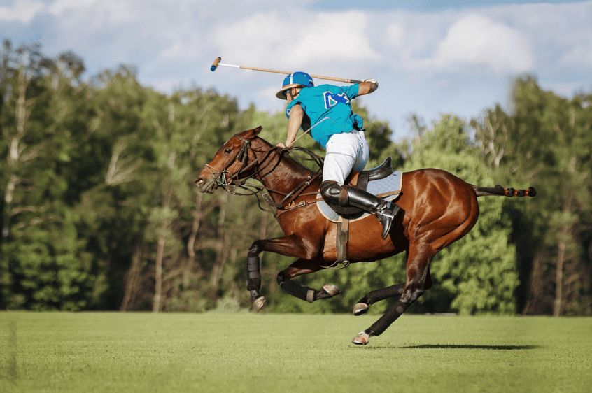 Horse and polo player hit the ball with a mallet in action