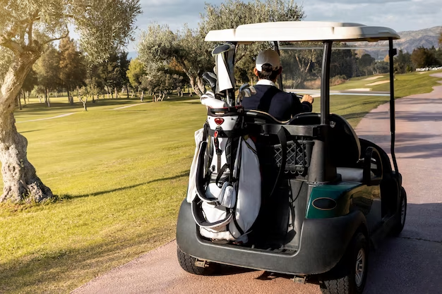 Man riding a golf cart